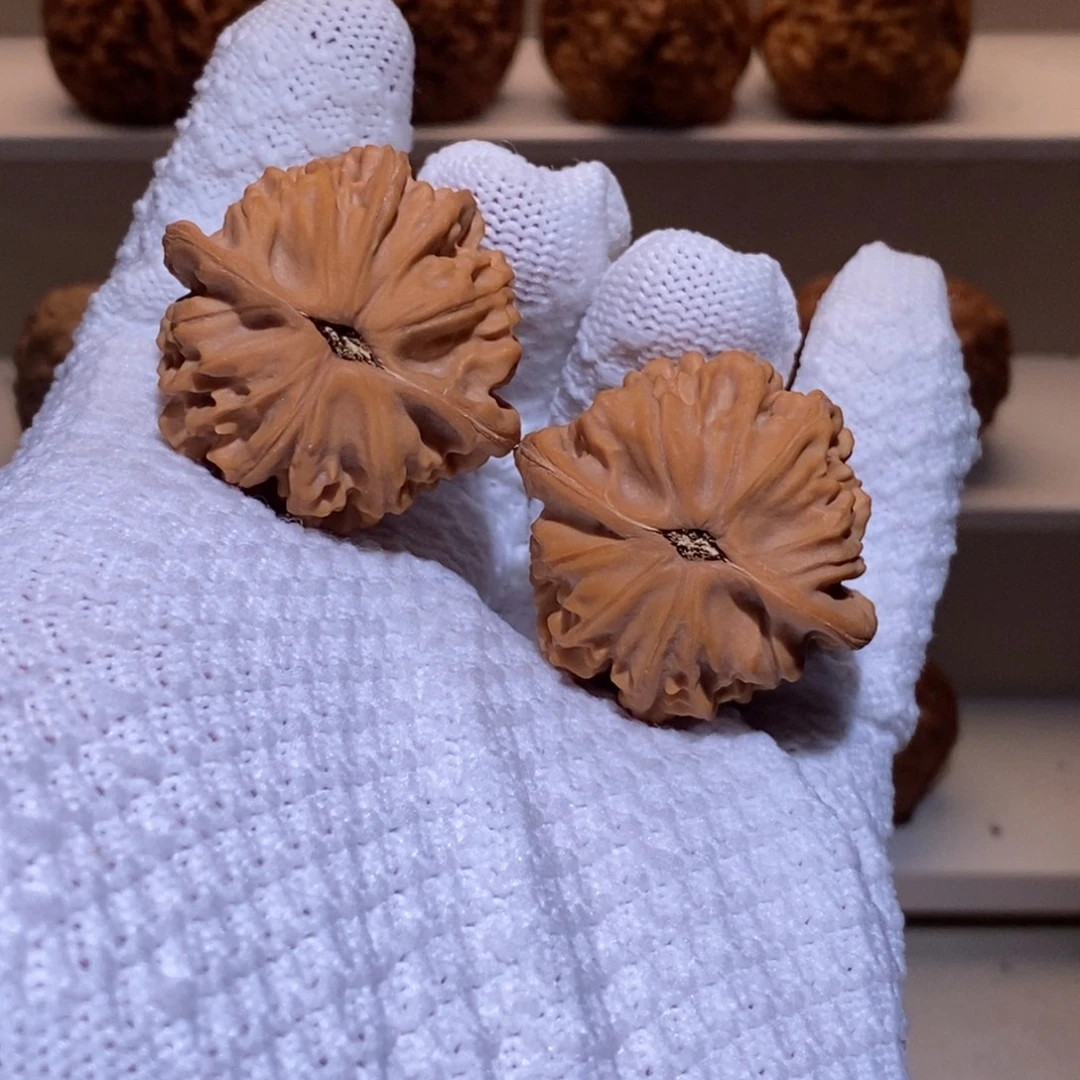 我***锅38尺 全品无修白茬 天地