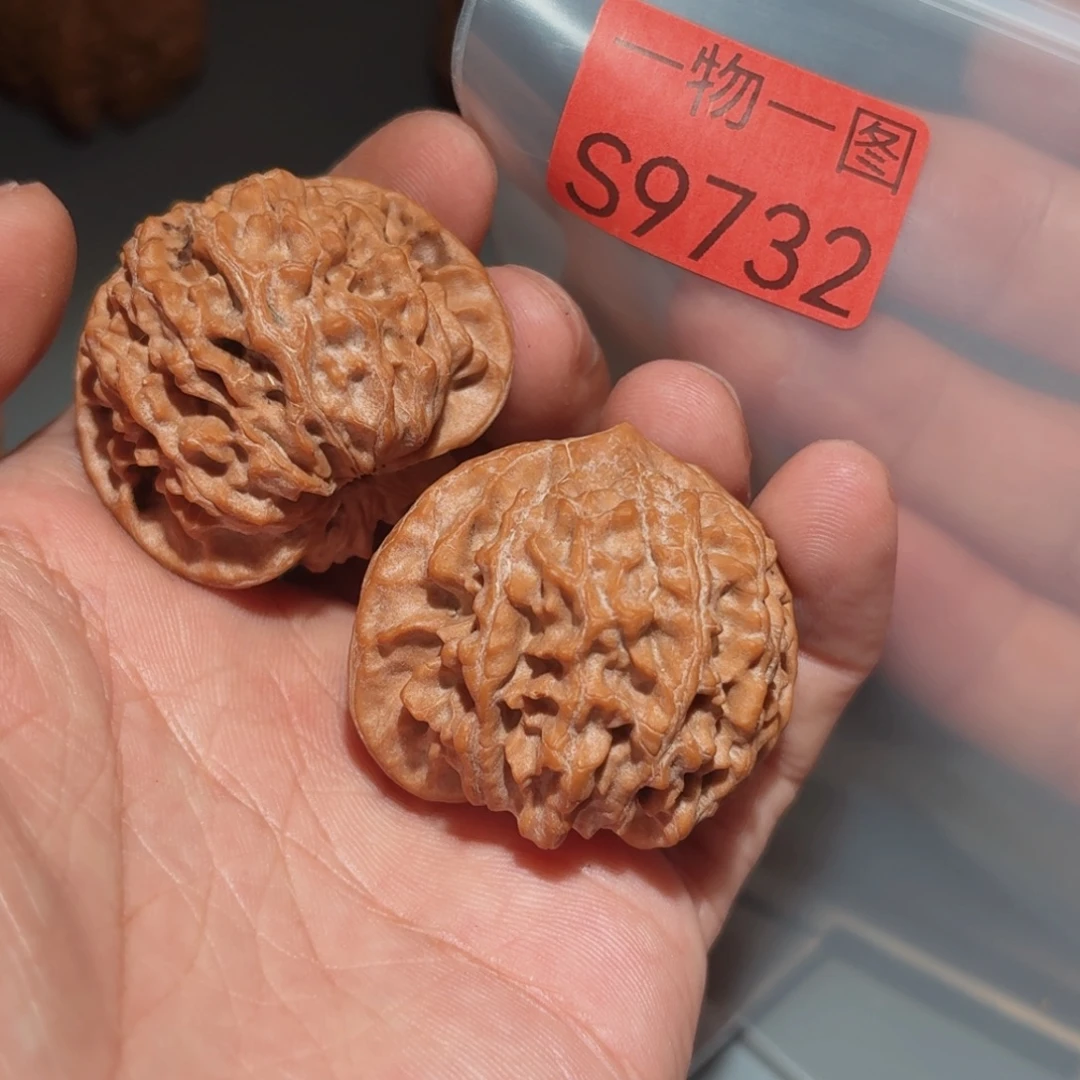 把件文玩核桃红珊瑚