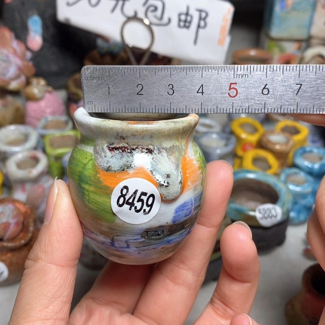 拍5送一个小礼物