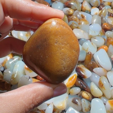 和田玉（糖玉）手链未镶嵌狼*杀