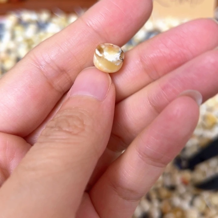 裸石蜜蜡未镶嵌9.4mm一个