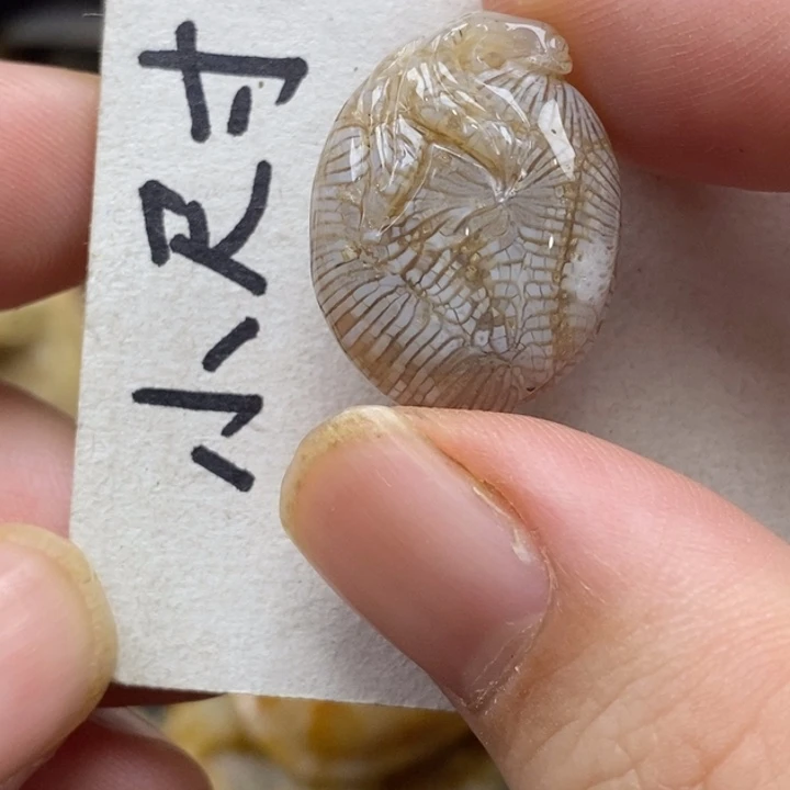 硅化珊瑚（珊瑚玉）未镶嵌颈饰