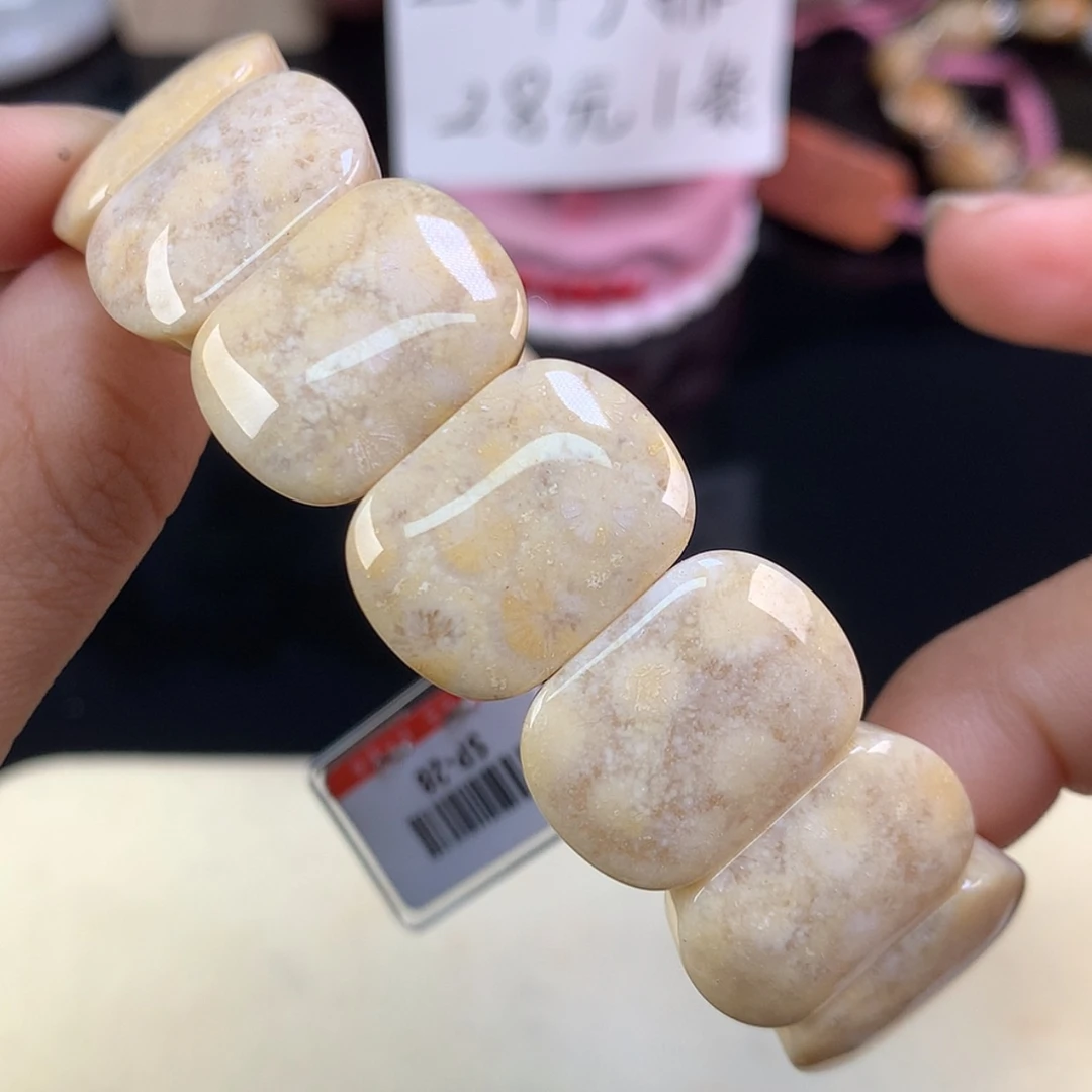 【闪购商品】颈饰未镶嵌硅化珊瑚（珊瑚玉）5号上新