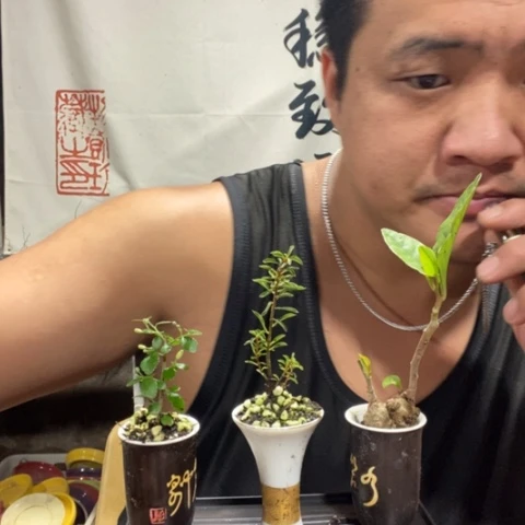 一物一拍所见即所得165