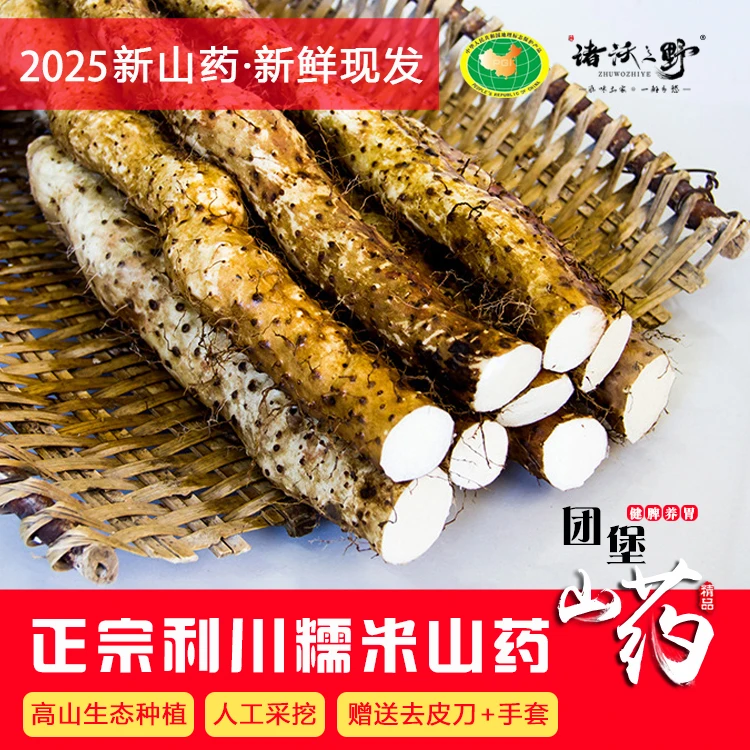 利川团堡山药 糯米面山药 湖北利川特产高山红皮野淮山药新鲜现挖
