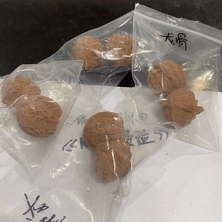 吊坠文玩核桃小龙骨