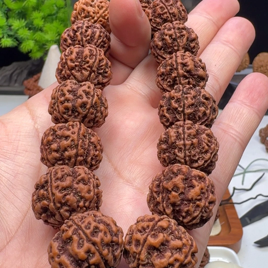 手串金刚菩提梅花双龙