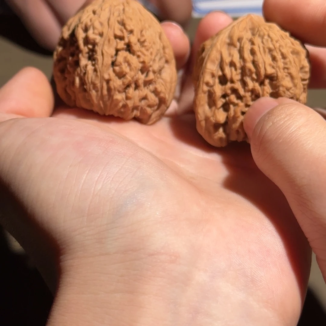 大叶紫檀（黑酸枝木类）