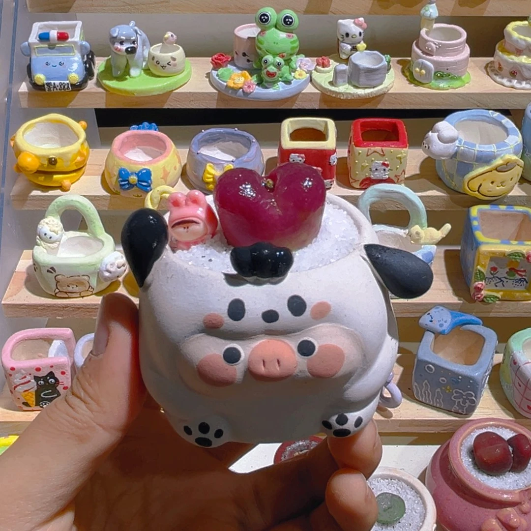 022高端多肉带盆土一套38