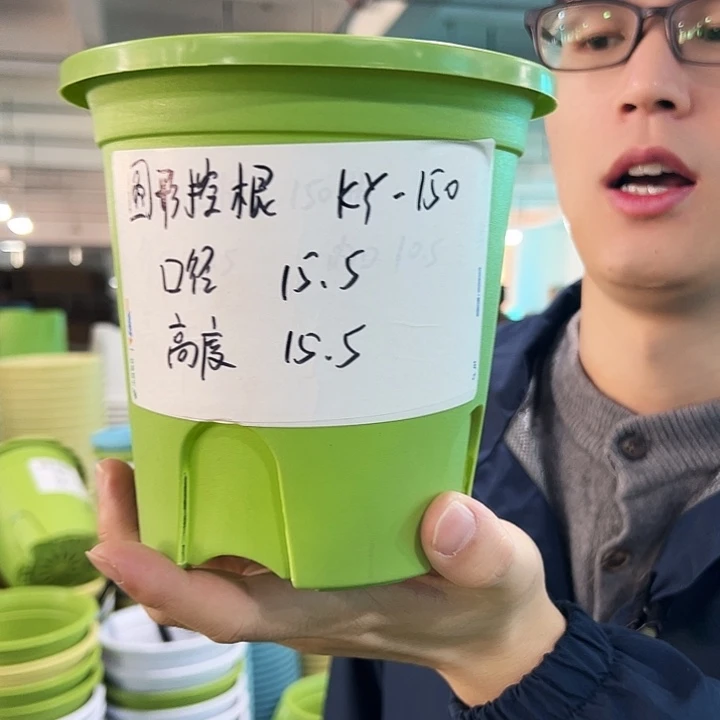 正品圆控口15高15果绿无托10只