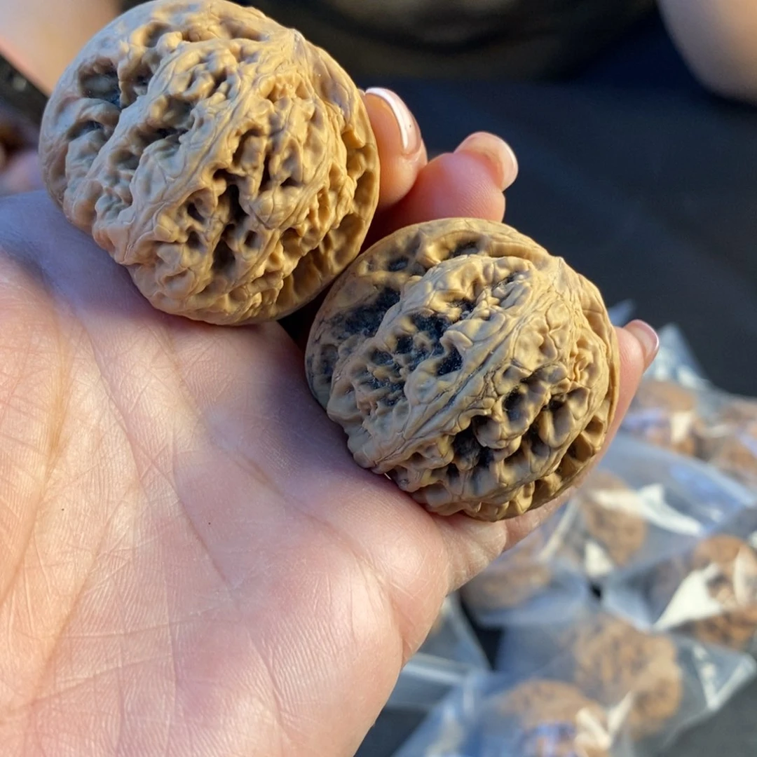文玩核桃把件41粗筋