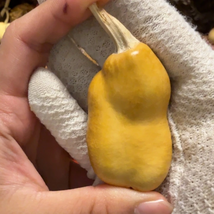疯***药6………………………………………………