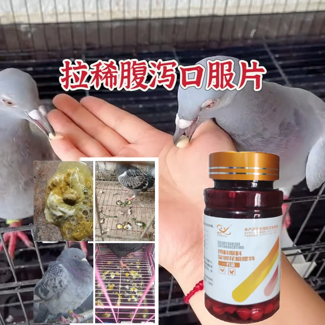 鸽鸟鸡通用防治鸽鸟专用饲料适用于缩头闭眼瞌睡等症状