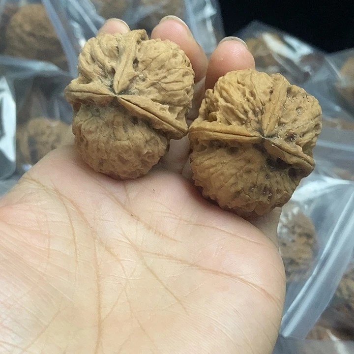 木质类云南铁核桃基地7