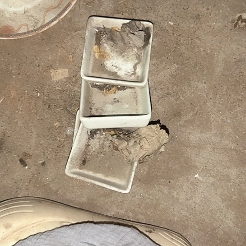 瓷片国营厂库存微瑕8厘米