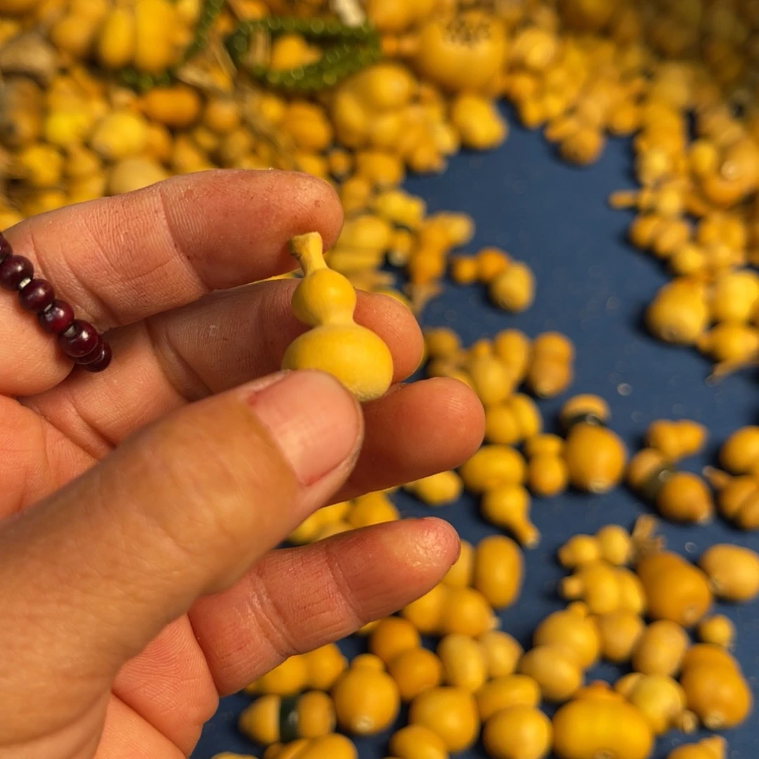 .葫芦葫芦葫芦葫芦