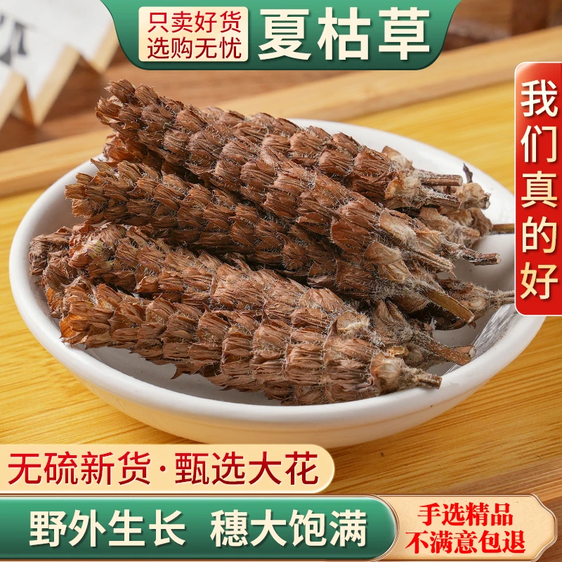 野生夏枯草白毛夏枯球泡茶泡水喝夏姑草夏菇草夏谷草新鲜中草药材