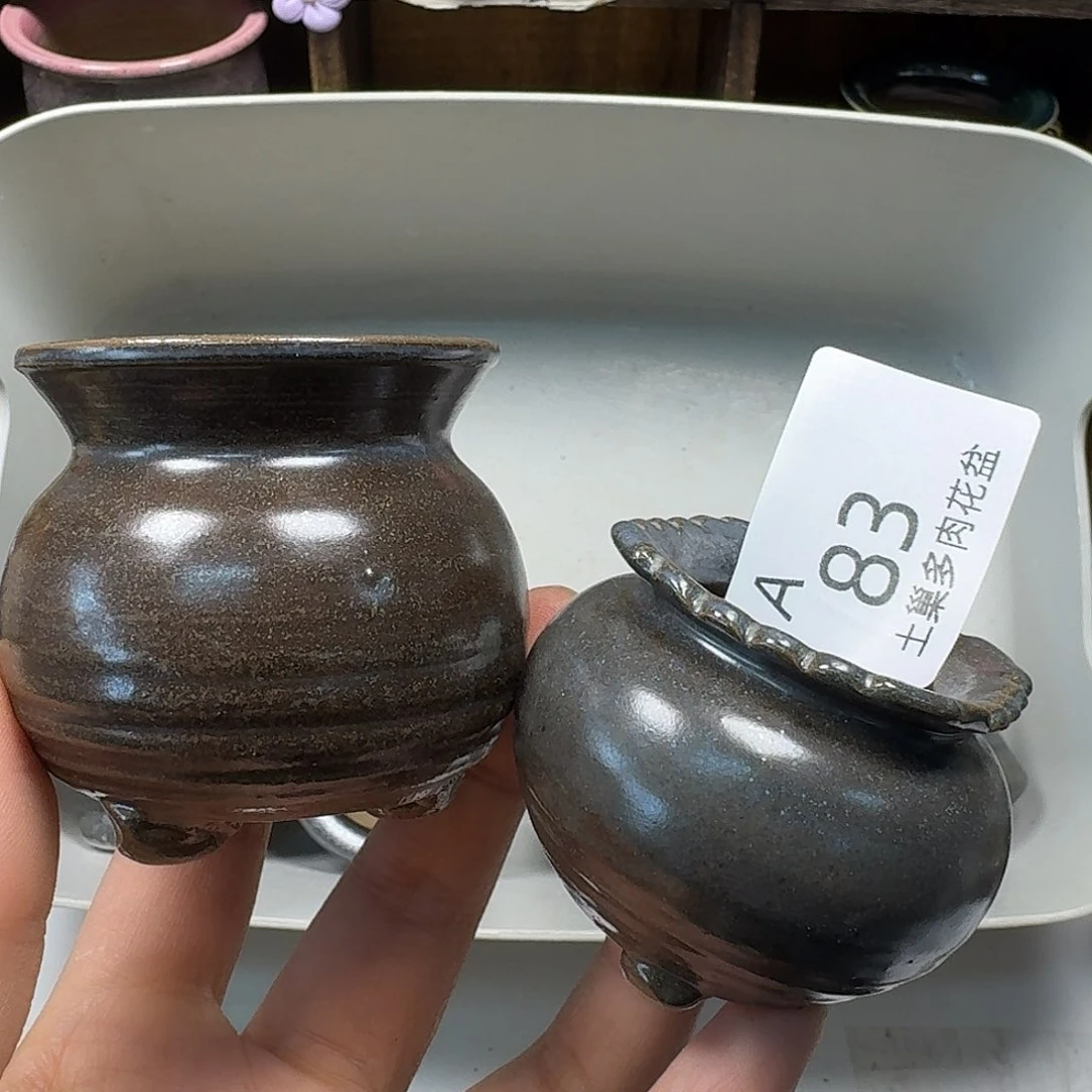 罐陶瓷工艺与艺术