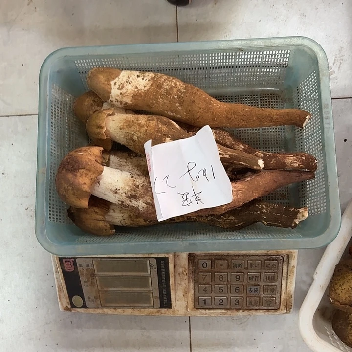 羊***汤南华1111111111111111中国大陆