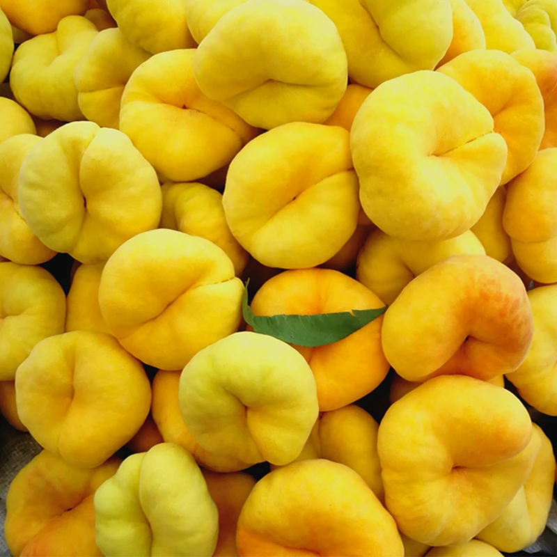 【黄金蟠桃】正宗蒙阴黄蟠桃 新鲜现摘应季水果新鲜黄桃蜜桃黄蟠桃