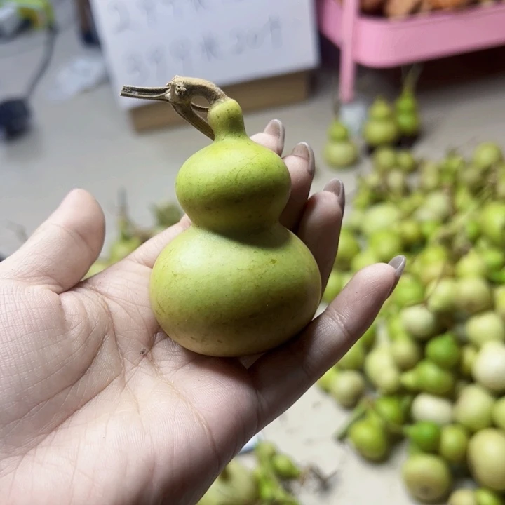葫芦中国大陆M**.