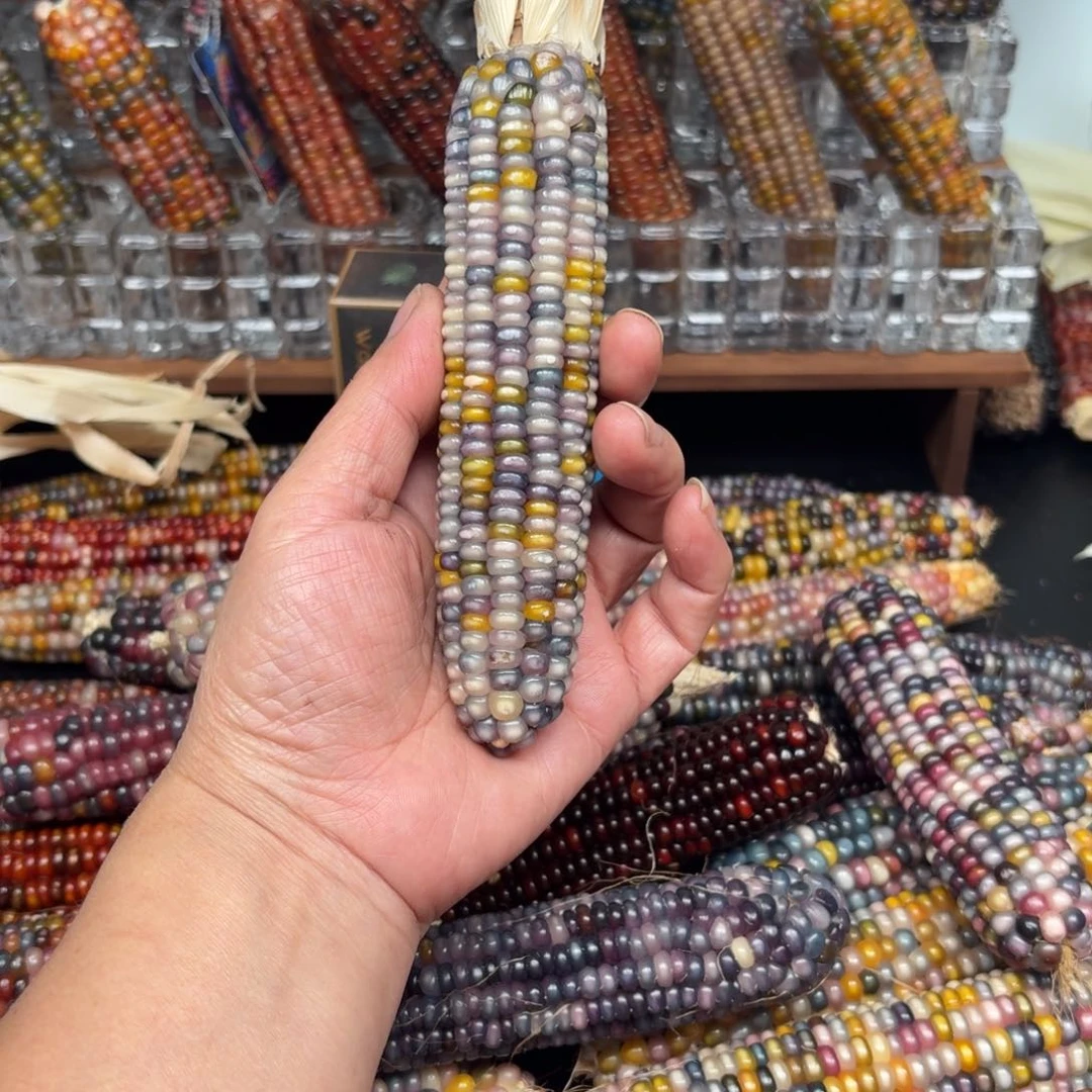 柏香籽/百香籽吊坠1****6