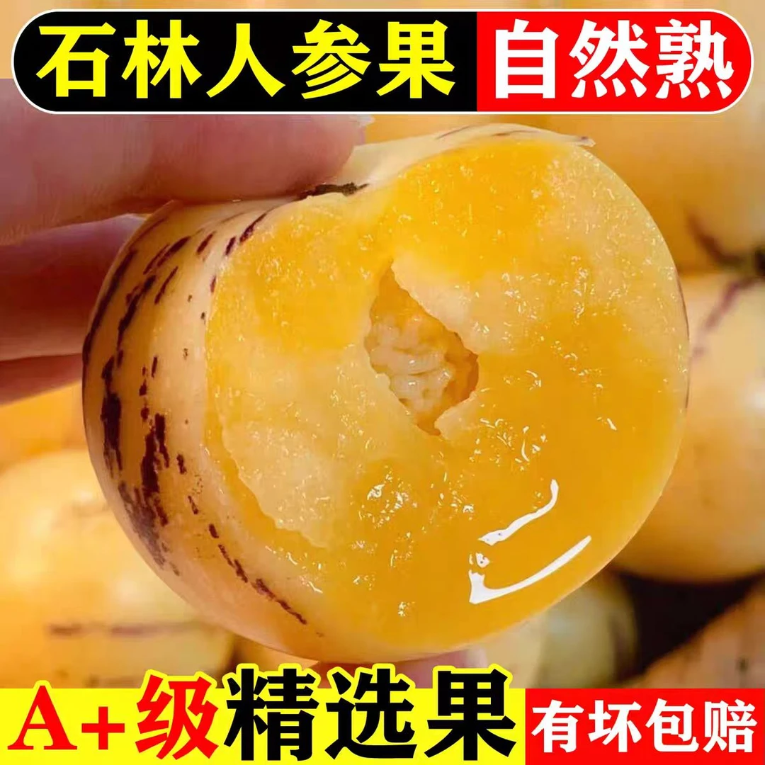 云南石林树上熟果黄肉圆果新鲜多汁清甜基地直发大果一级应季水果