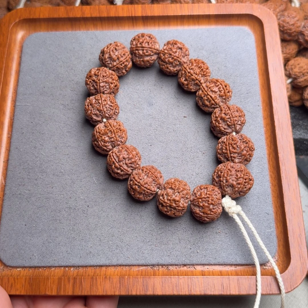 菩提菩提25号尼泊尔大金刚21六瓣梅花