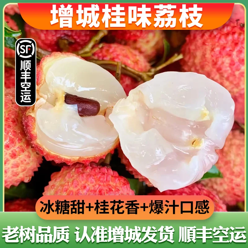【广东省外专属链接】增城桂味荔枝现摘糯米进奉糍味甜顺丰空运包邮