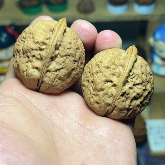 文玩核桃把件7号粗筋大饼