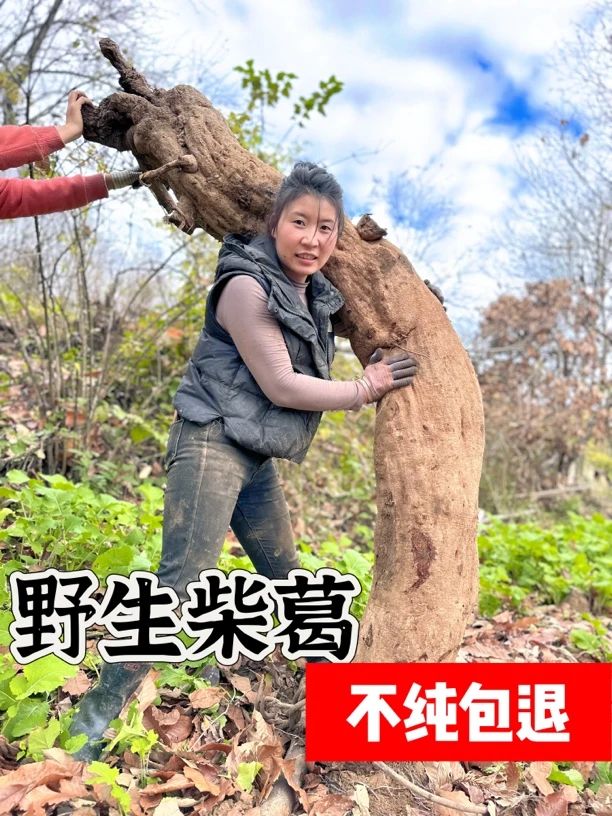 【葛根粉】太阳姐姐传统工艺纯手工深山老柴葛根粉