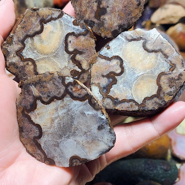 飞***儿玛瑙/玉髓未镶嵌珠宝奇石