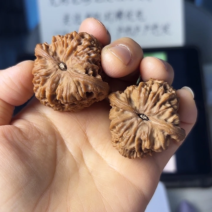 ****九南疆石狮子头一对