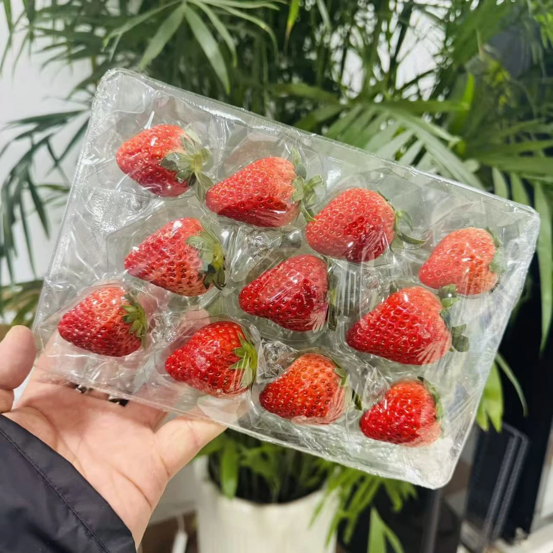 【两盒】头茬丹东九九大果空运草莓 一盒15-20颗只发天津