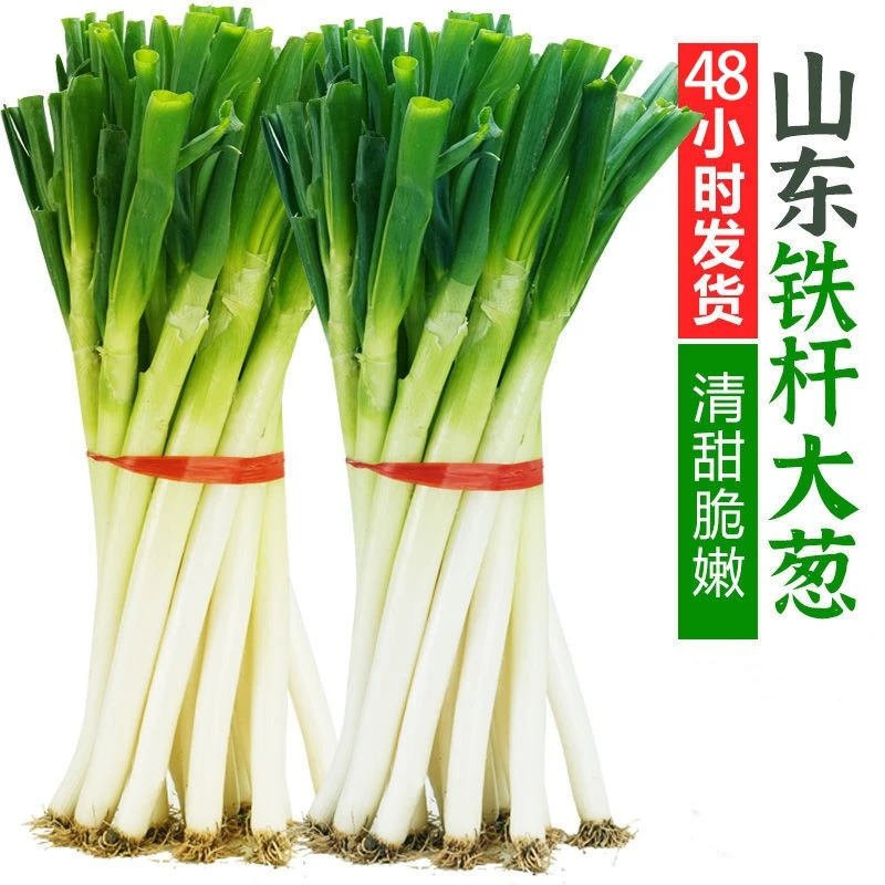 【金牌店铺】山东铁杆大葱源头产区现挖现发去掉葱皮现挖现发