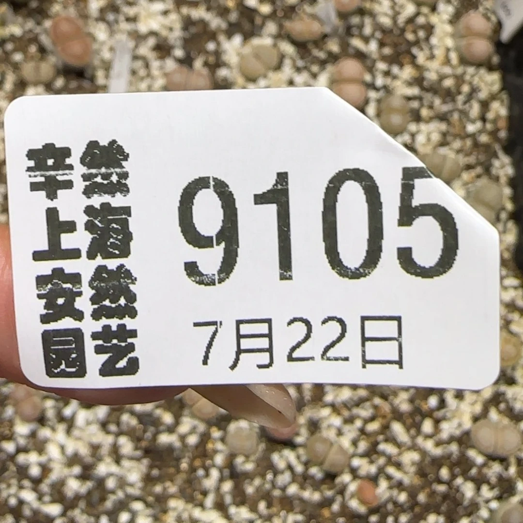 ****散7.22。   216饼干。   9105