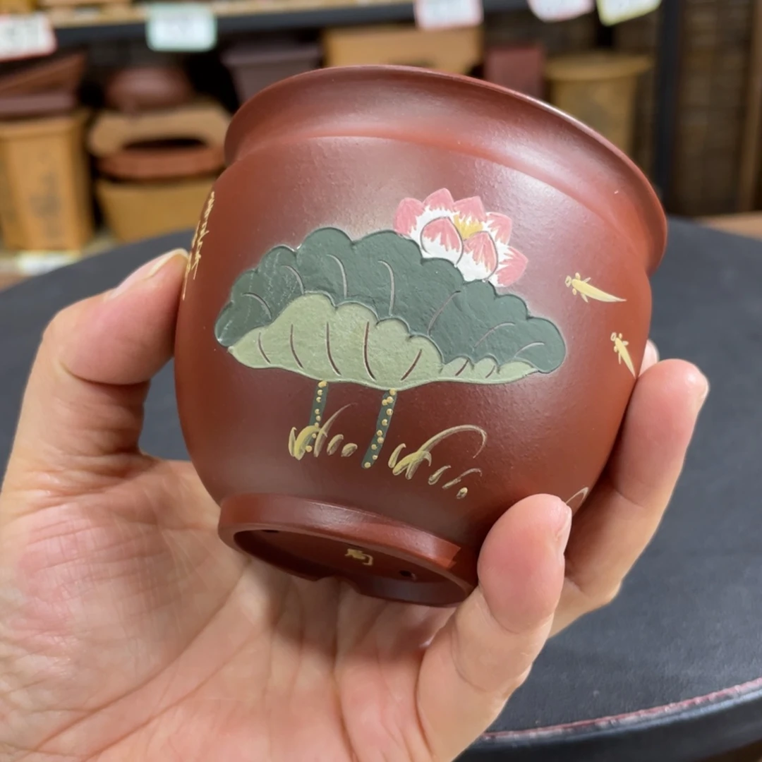 紫砂花盆紫砂花盆在这里