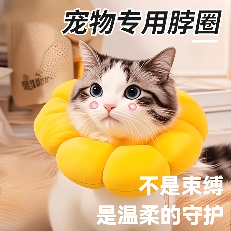 伊丽莎白圈猫绝育项圈防咬防舔猫咪脖圈颈圈头套狗狗围脖宠物用品