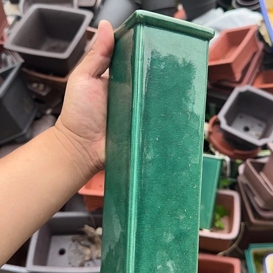 一哈来我这儿吃饭啊亲爱的