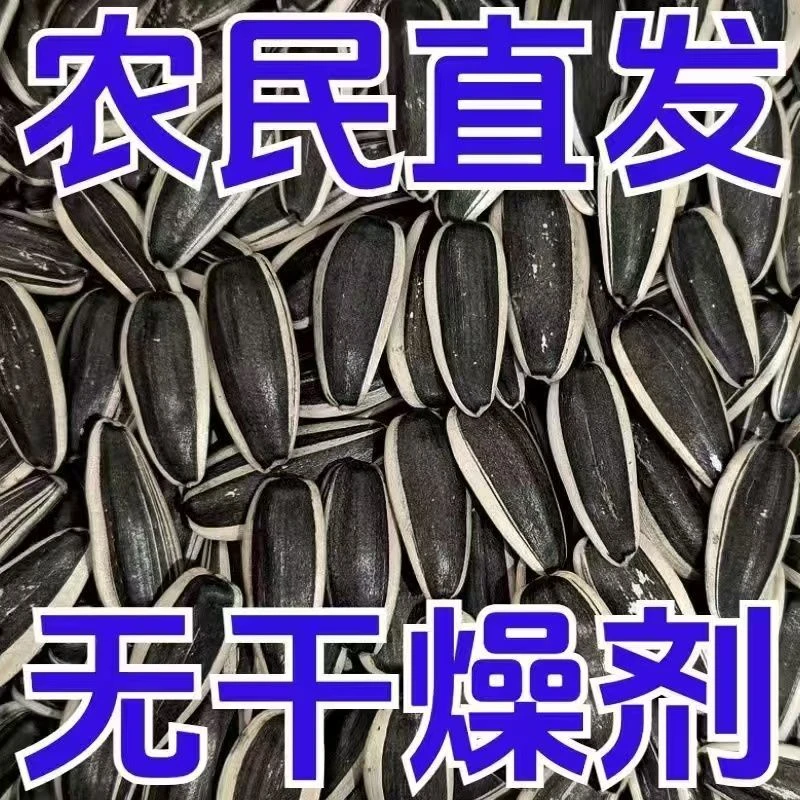 【买一送一斤发两斤】新鲜炒熟原味葵花籽休闲零食含袋批发年货商用