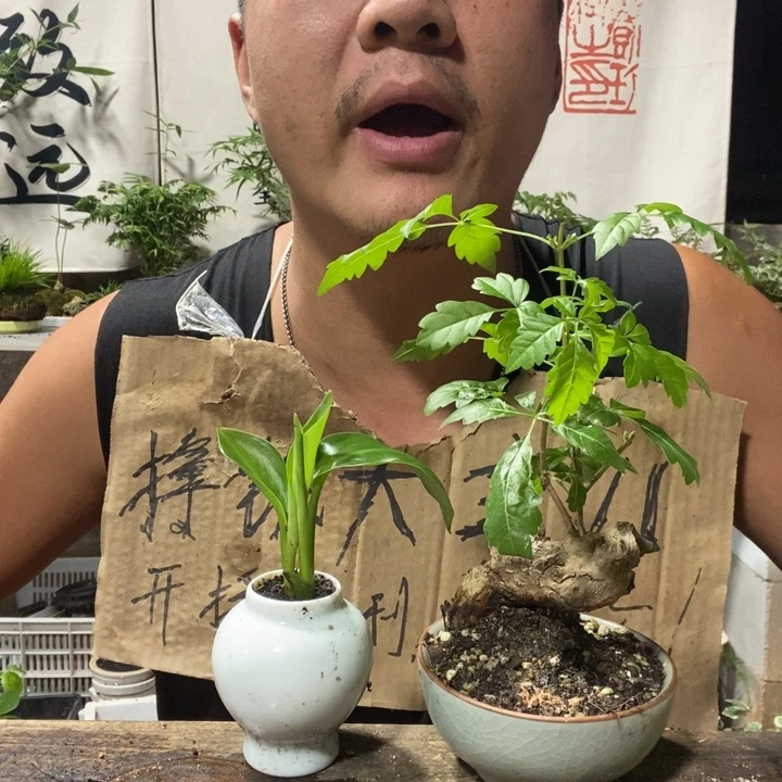 无花朵退款拉黑拉黑1