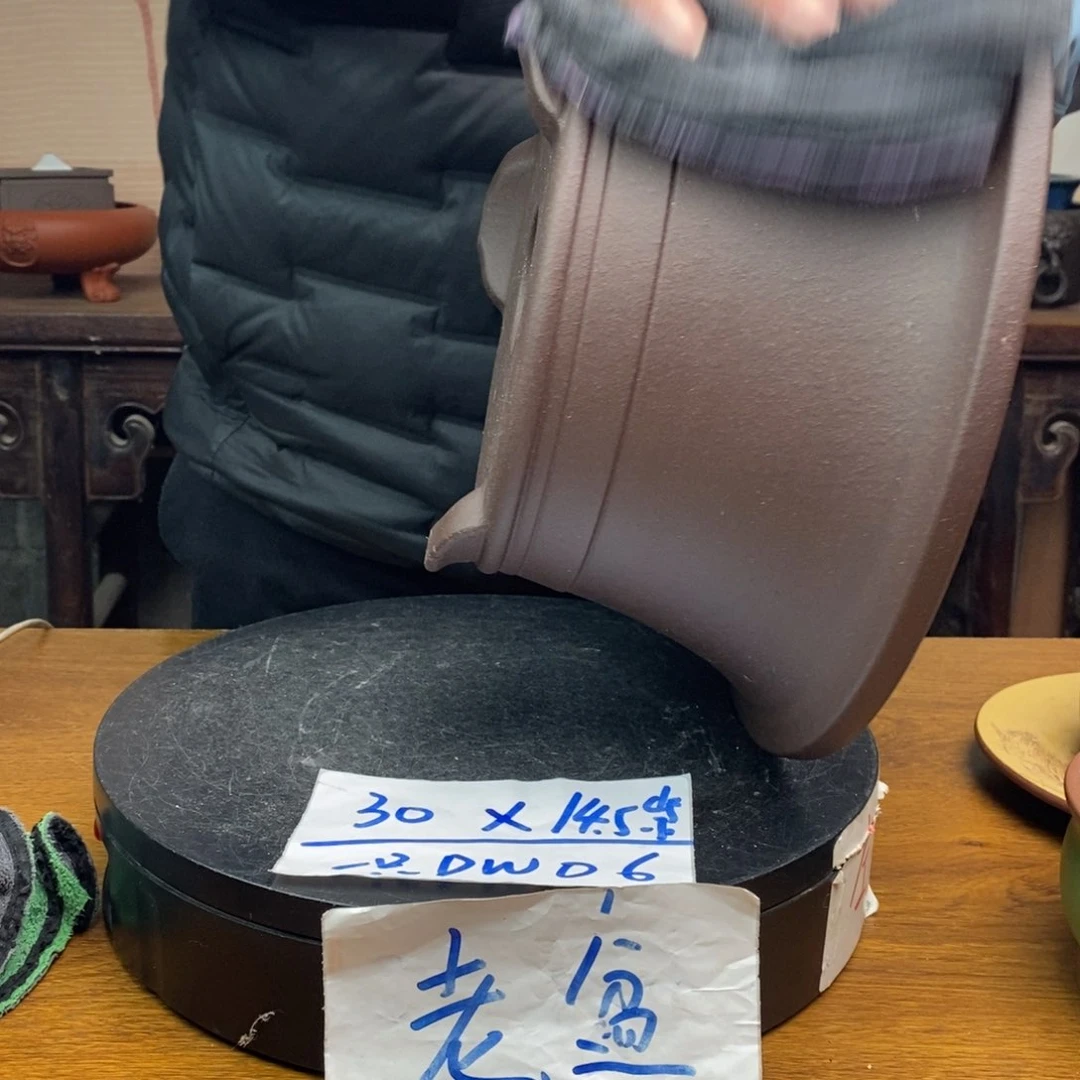红陶货号一只DW06子