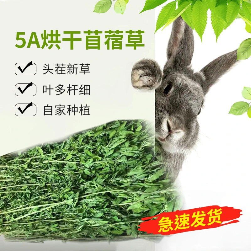 苜蓿草烘干5A级兔子粮干草幼兔及食用草宠物
