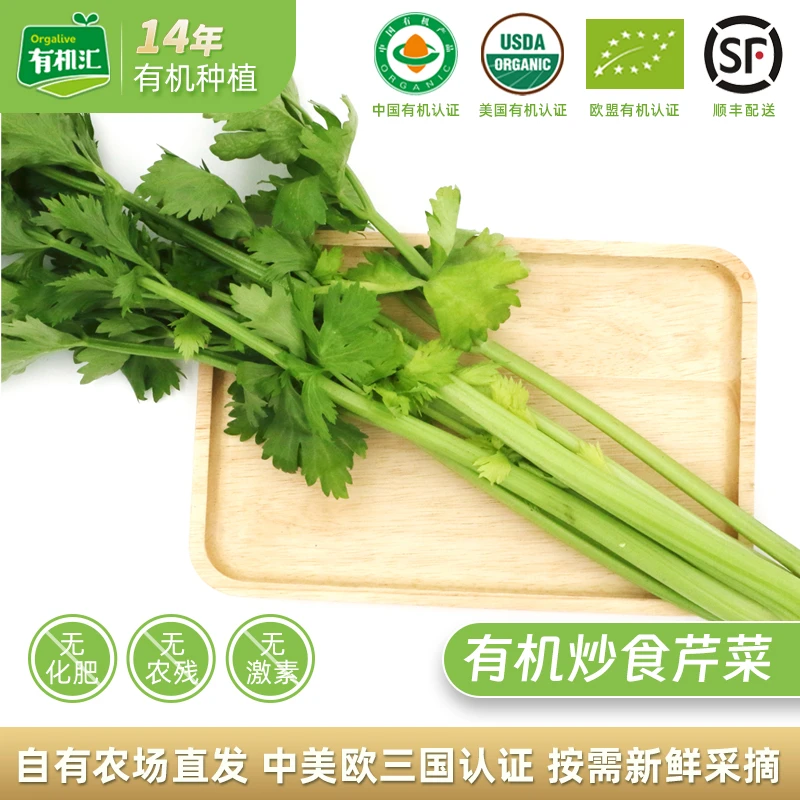 有机芹菜炒菜芹菜250g（带叶）西芹有机蔬菜炒菜凉拌现采现摘直发