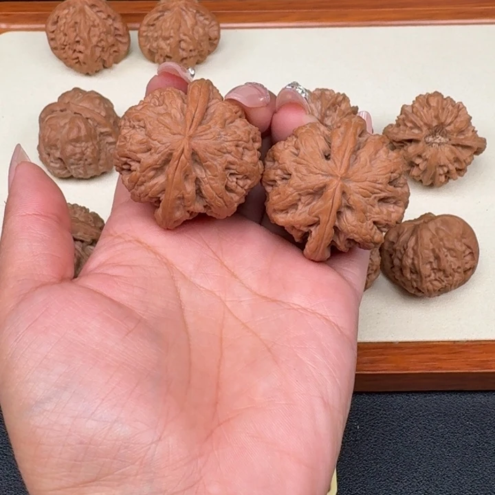 把件文玩核桃赵****5全品粗筋42