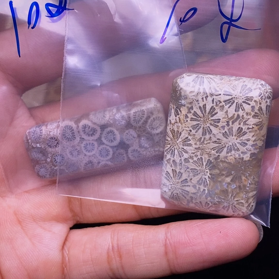 硅化玉合金珊瑚玉
