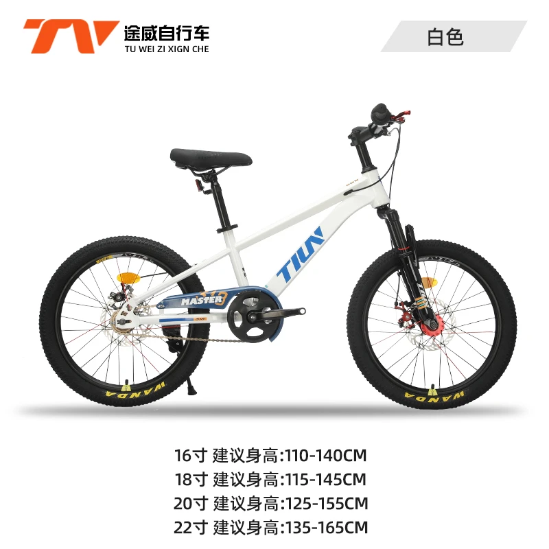 大师318途威儿童自行车