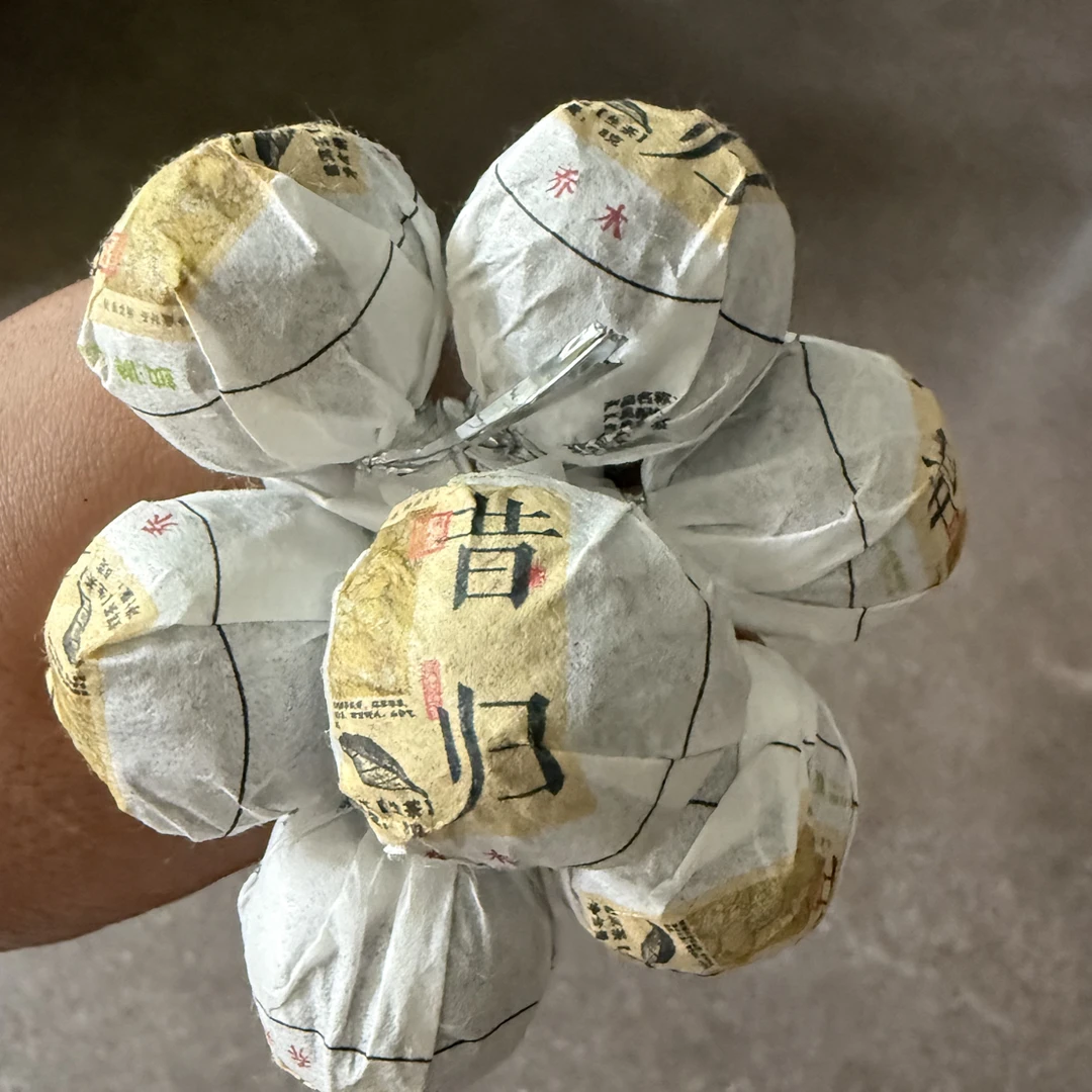 纳濮茶业 2026年昔归乔木生茶龙珠