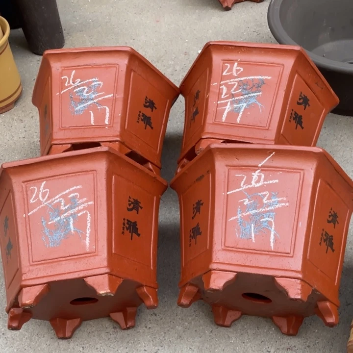 紫砂紫砂紫砂紫砂紫砂