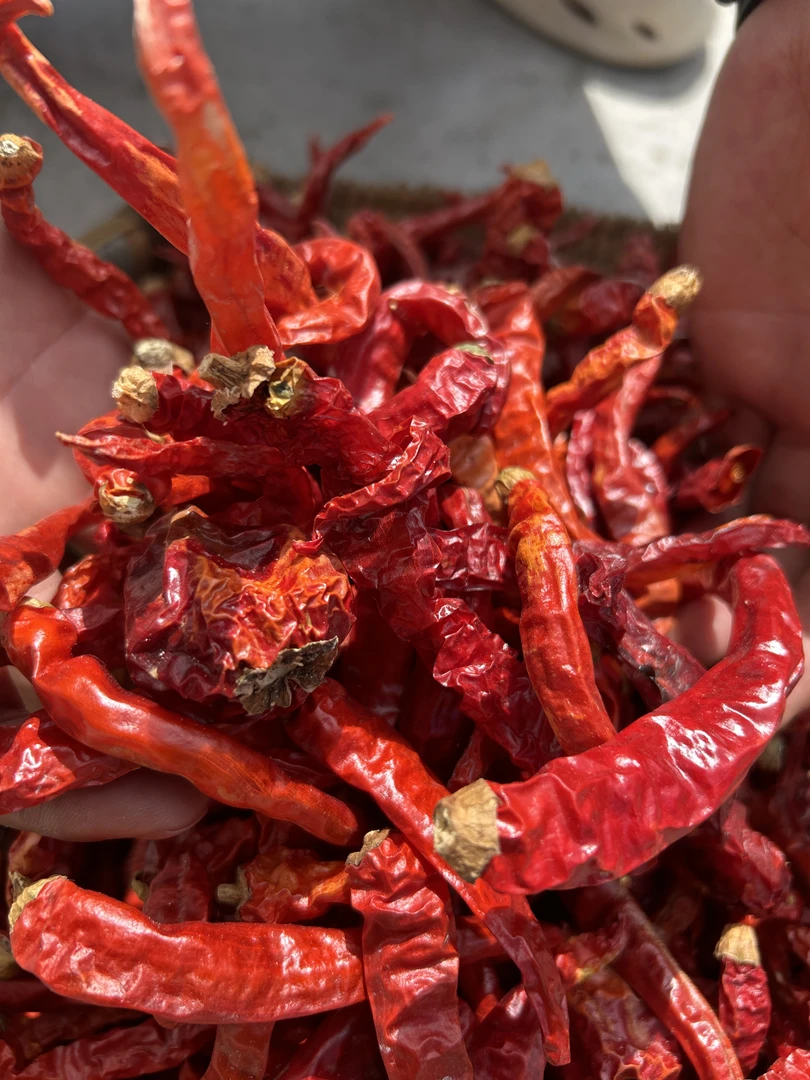 南川大有厚肉干椒辣皮子特色食材